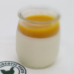 Panna Cotta Mangue