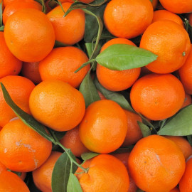 Fruit : Clémentines