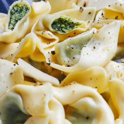 Tortellini Ricotta Epinard, Crème Epinard Parmesan